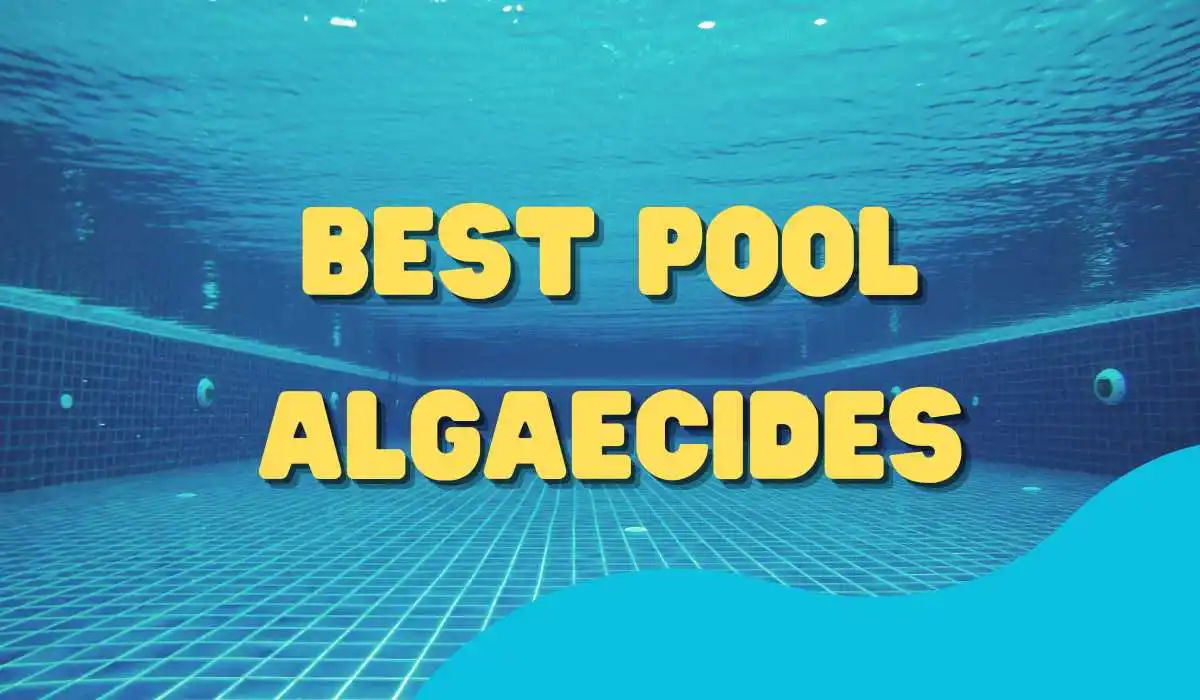 7 Best Pool Algaecides to Keep Your Pool Sparkling Clean